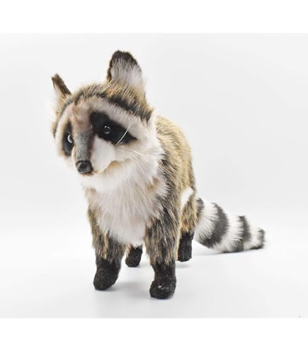 Amazon.co.jp: 特大 67cm 当時物 昭和レトロ たぬき あらいぐま